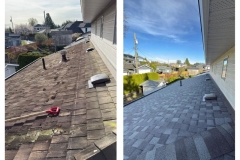 Combined_Roof-Picture-BA-With_Margin.pdf-1