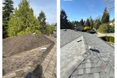 Combined_Roof-Picture-BA-With_Margin.pdf-3