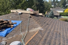IMG-20250421-WA0002
